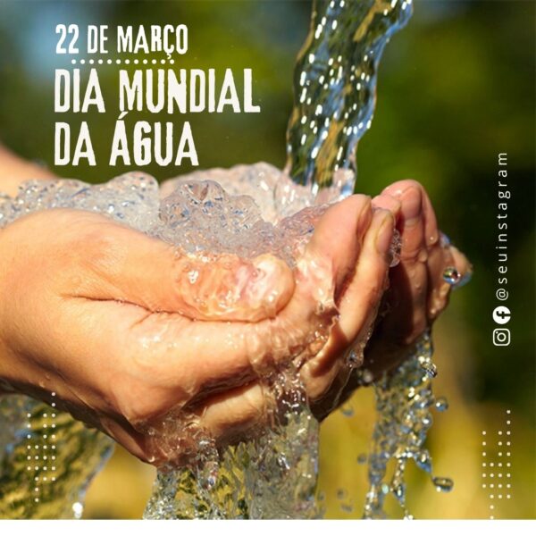 marketing digital, canva, distribuidor de água, vendas, viral